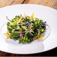 Форма силиконовая 'Gourmand Бабочка M' 40x39мм h2мм, 1мл, 12 ячеек GG051S